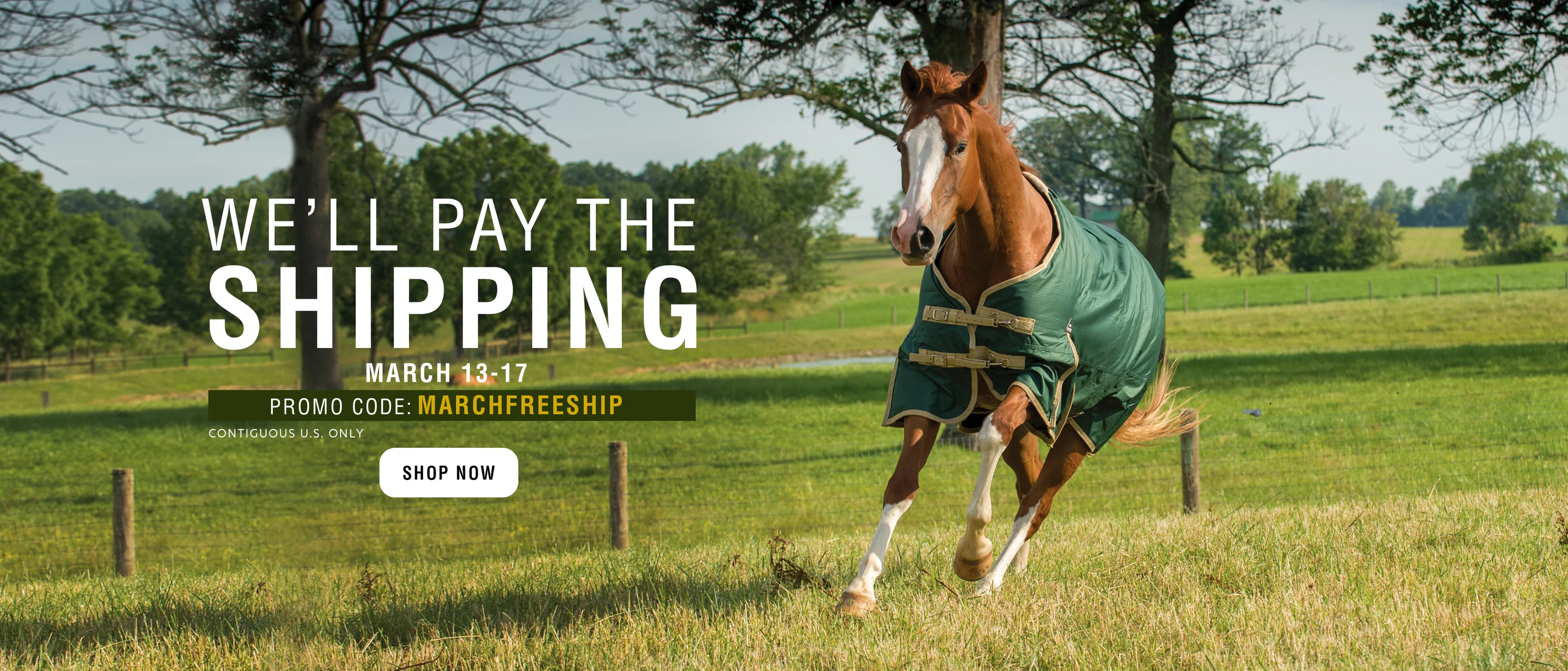 Elite Performance for Horse and Rider